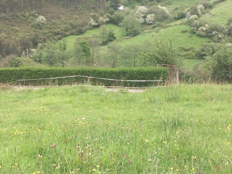 Foto del inmueble