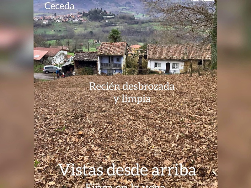 Foto del inmueble