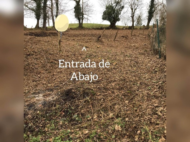Foto del inmueble